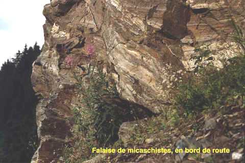 micaschistes gneissifies