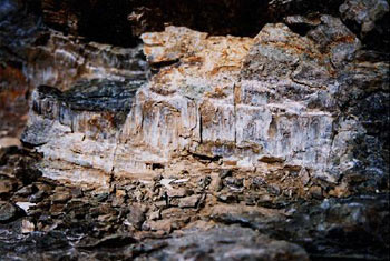 serpentineux